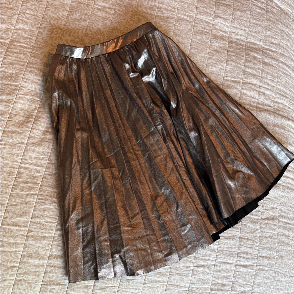 Zara Silver Metallic A-Line Skirt